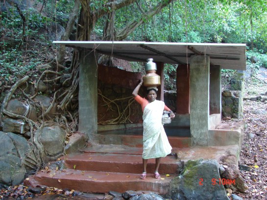 A lady collecting drinking water from a sacred grove in Western Ghats Photo: SANDRP