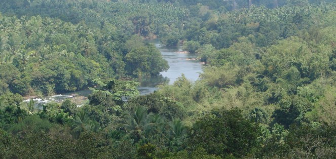 Seetha Nadi, free flowing river in Karnataka Western Ghats. Photo: SANDRP