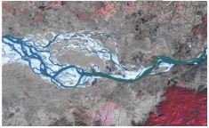 Satellite image of the river Brahmaputra (2008) just downstream of Guwahati city indicating intense braiding. width of the river at pandu is 1.2 km but donstream is about 18km. Source: ‘Riverbank erosion: a perspective” a presentation by Dr. Bipul Talukdar, Assam Engineering College 