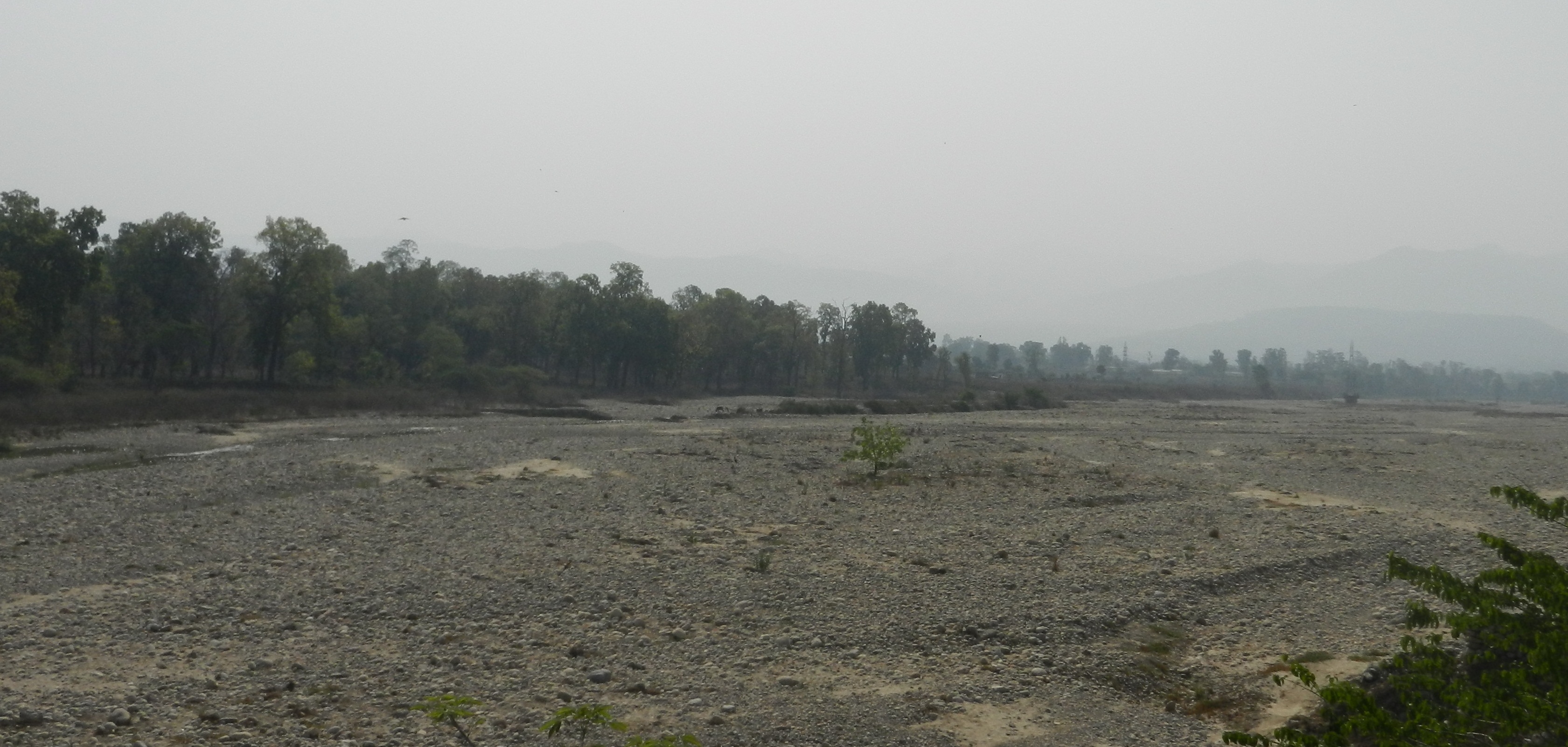 Ganga, completely dry downstream Bhimgouda Barrage, Haridwar Photo: Parineeta, SANDRP