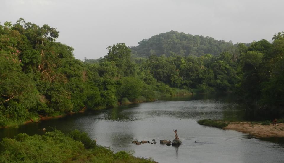 Celebrating RIvers!! The Kumaradhara in Karnataka, near site for Kukke Stage II Mini Hydel Proejct Photo: SANDRP 
