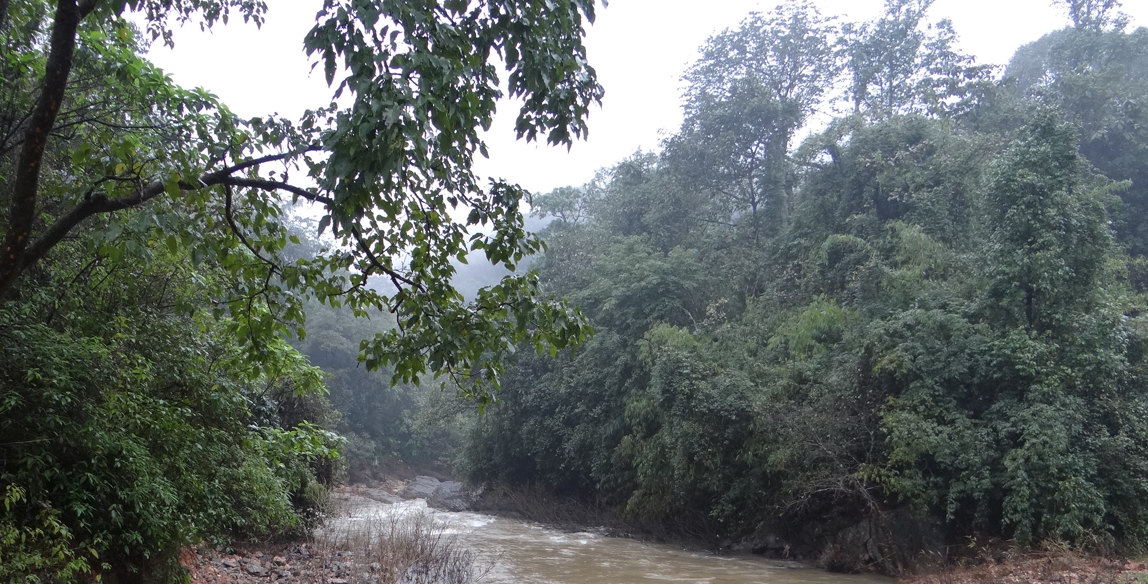 Yettinahole River Photo: SANDRP