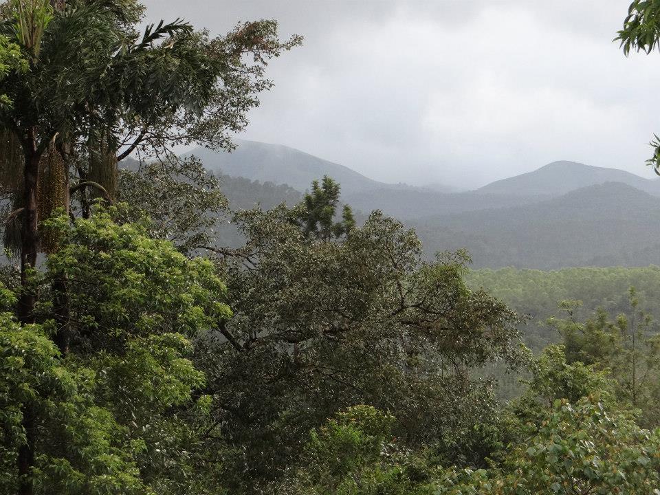 Yettinahole Catchment and surrounding forests Photo: SANDRP