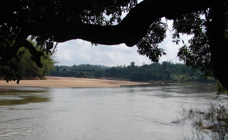 Lovely Tunga River at Chippalgudde fish Sanctuary Photo: Author