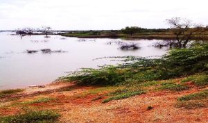 Figure 4. Area submerged upstream of the dam or diversion weir