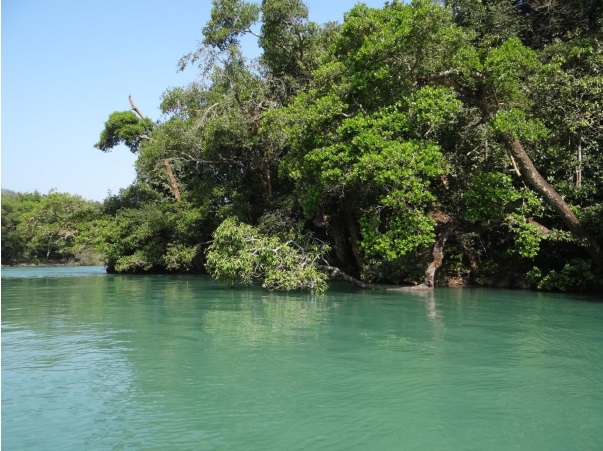 Emerald waters of the Kali Photo: Author