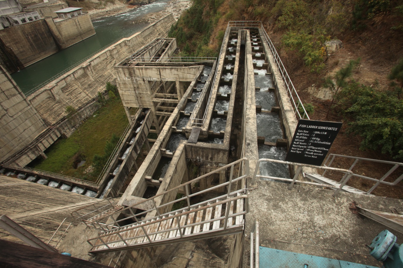 Fish Ladder at Kurichhu HEP Photo : Authors