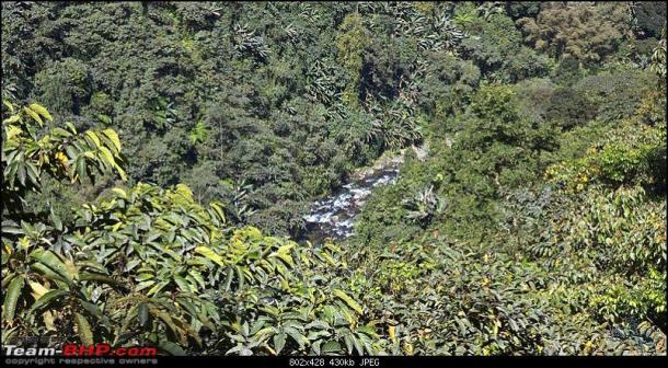 Luxuriant Biodiversity of the Siang basin Photo: Team BHP