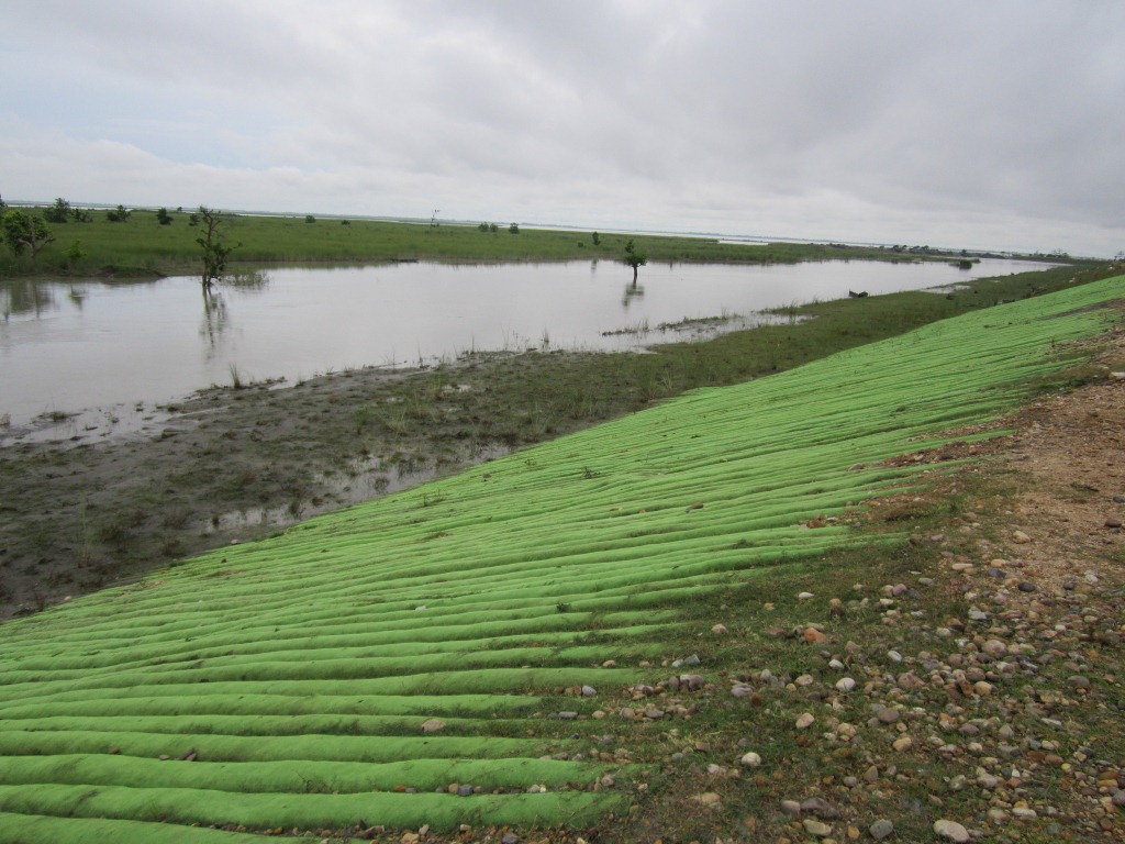 India's First Geo-tube embankment in Matmora in Dhakuakhana sub-division of Lakhimpur district in Assam.  Photo: Parag Jyoti Saikia