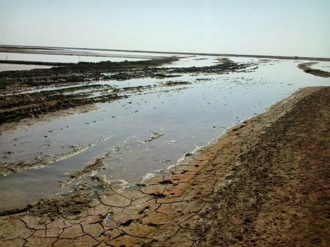 Narmada Waters flowing unused in the Rann of Kutch, harming the eocsystem and saltpan workers livelihoods Photo: Counterview.net