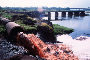 Pollution of Damanganga at Vapi Photo: Tehelka