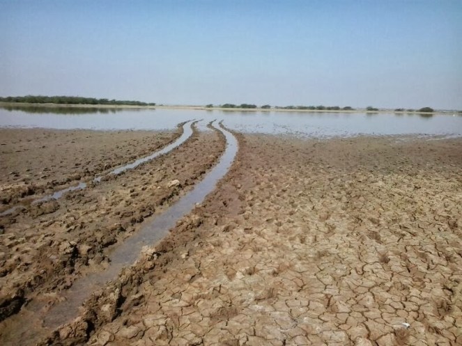 Unused Narmada Canal waters flow into Salt pans, not only at a hige cost, but also affecting lievlihoods of  salt pan workers and the ecology Photo: Counterview 
