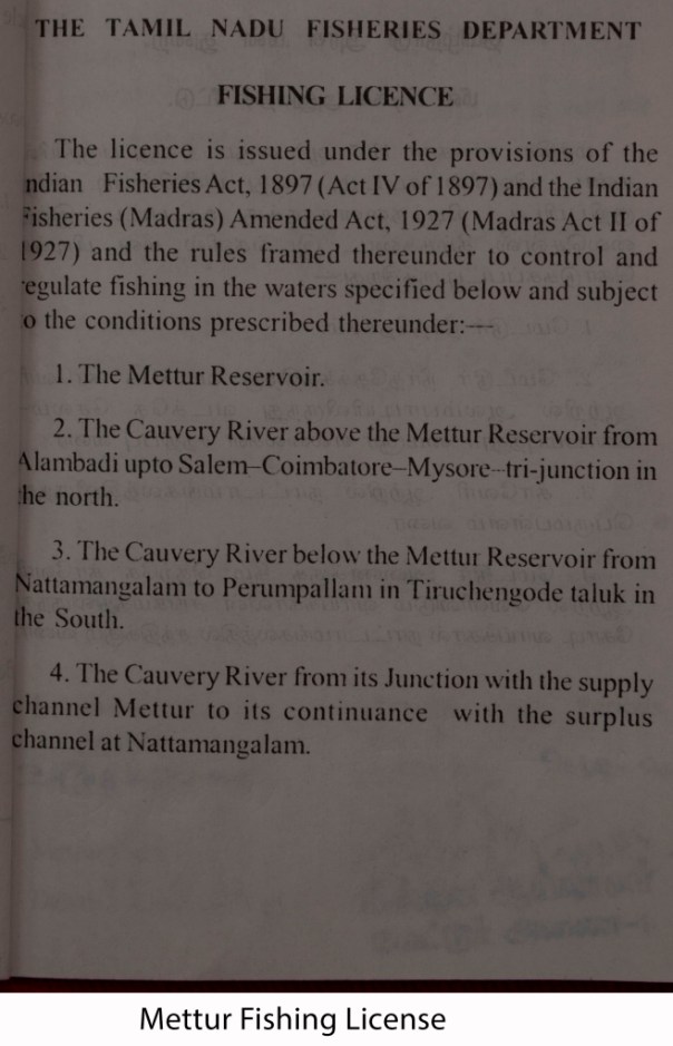 Fishing License Low Res