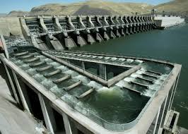 Fish Ladder at John Day Dam (from : http://blog.oregonlive.com/)