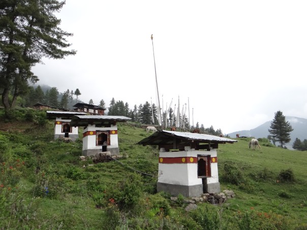 Cascade of three water wheels in Phobjikha Valley Photo: SANDRP