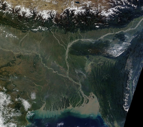 The Ganga Brahmaputra Delta, formed of rich sediment From: EO Snap.com