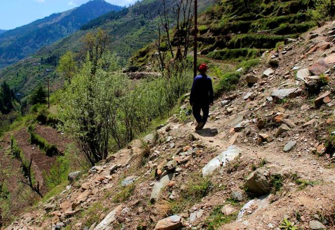 Landslide at Alwas due to road and channel construction for 5 MW Tarela project in Chamba