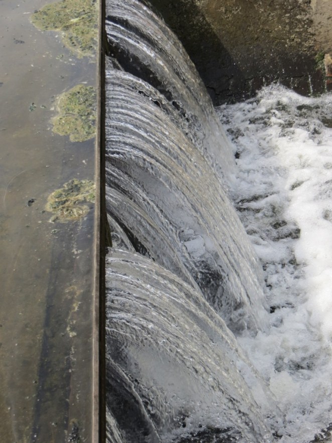 Treated wastewater--it looks "clean" but the fecal coliform content is usually in the range of 100,000 MPN/100ml to 1,000,000 MPN/100ml. This is well above safe levels for bathing and human consumption