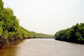 The Bhitarkanika Mangrove System is a rich repository of biodiversity, while providing shelter from coastal erosion Photo fro Vagabound images