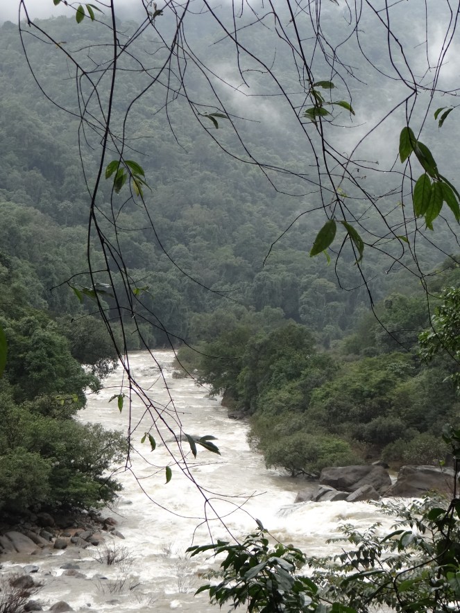 Netravathi in the Upper reaches Photo: Parineeta Dandekar