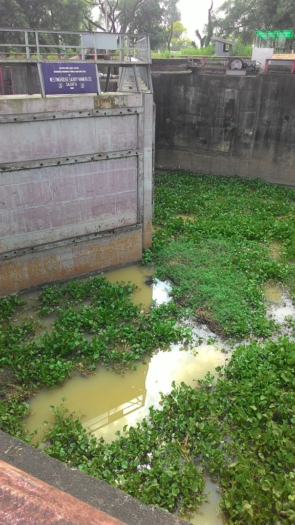 Condition of the Farakka Ship Lock. Secirity Personnel there told us hardly any ships pass this route, less than one ship in three months Photo: Author