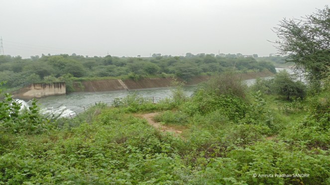 Narmada Canal 13