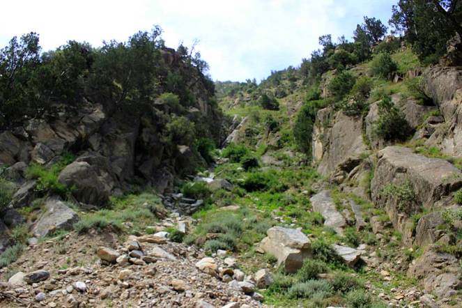 Murim-II next to Murim I shared a common source which led to drying up of both streams