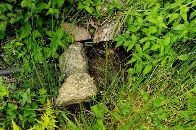 Jagat Singh’s fields had this water source and used this for drinking and irrigation. Due to the reduction in the discharge after tunnel construction there is just enough water to use for drinking