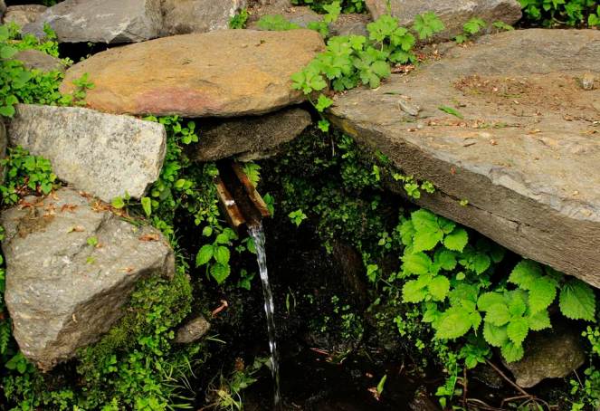 Lang Chuldhing water source in Yulla the discharge has reduced due to the tunnel. 4 -5 families in the vicitnity depend on this source
