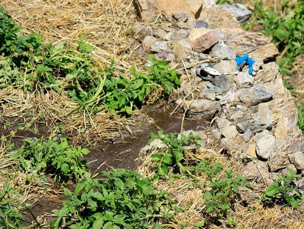 Ramanand Negi showed this water source in Urni village which emerged suddenly in 2005. This has come out in a location where there is a landslide getting active