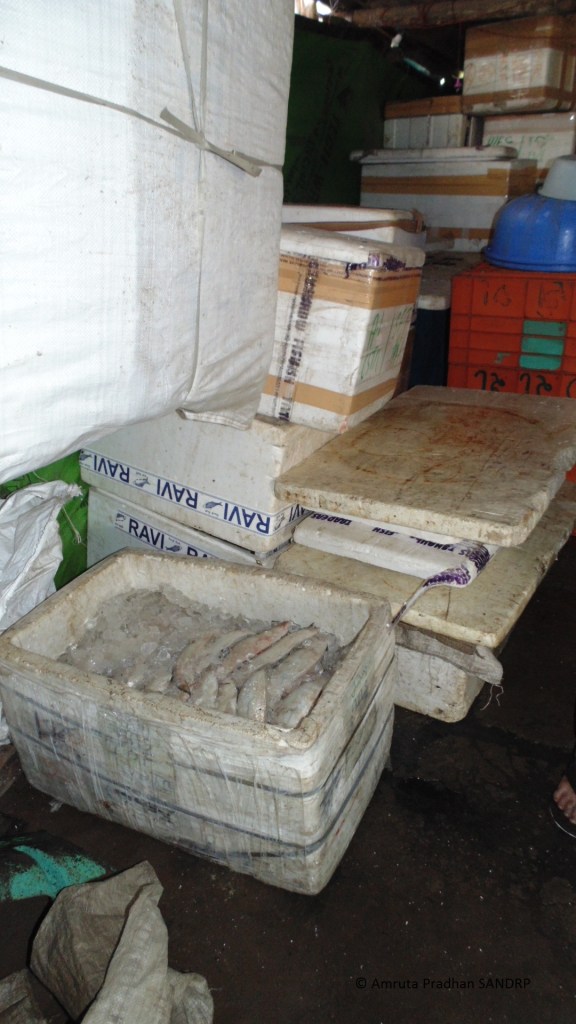 70% of the income of fisherfolk is from sale of Hilsa