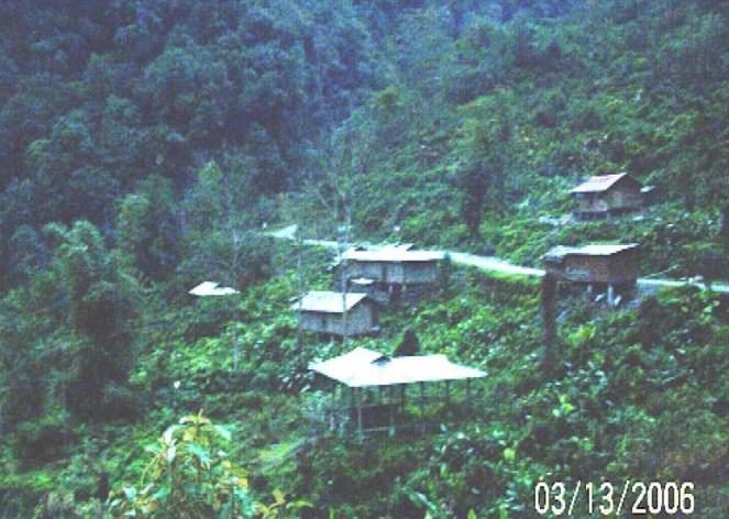 View of One of the affected villages show the rich forest that the project will destroy (Source - EIA)