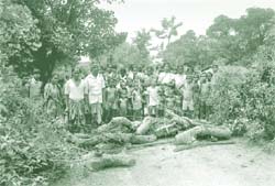Road Blockade in protest of Koel Karo Project Photo from: India Environment Portal