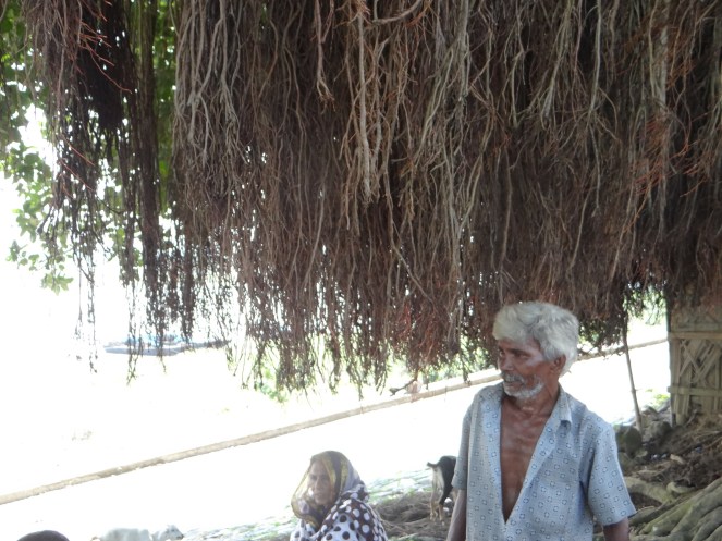 Dejected Fisherman upstream Farakka Barrage. He says Hilsa is nearly wiped out from here and there is intense conflict for the meager catch. Photo: Author