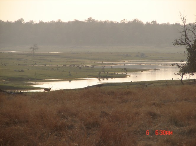 Pench National Park in Godavari- Wainganga Basin Photo: Parineeta Dandekar, SANDRP