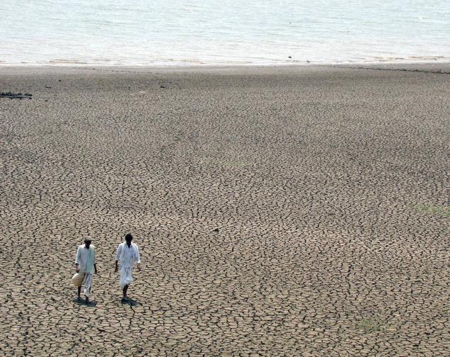 Sedimentation of the river upstream Sri Ram Sagar Project. Dams trap sediments, decreasing their live storage capacities, while starving the river downstream and killing the delta Photo from: The Hindu