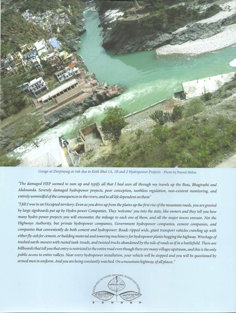 Back Cover of the report HEADWATER EXTINCTIONS