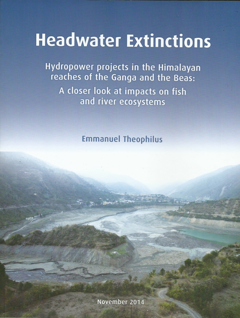 Front Cover of the report HEADWATER EXTINCTIONS
