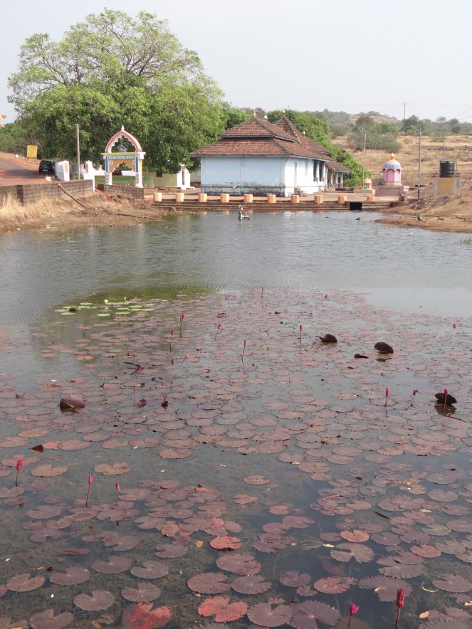 A typical Temple Tank in Western Ghats has a huge cultural and ecological significance Photo: Parineeta Dandekar