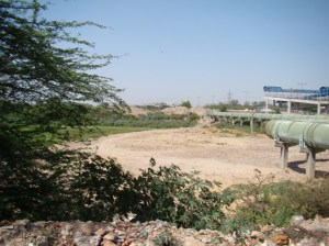 Dumped material removed from the Ymuna (Photo by Manoj Misra)