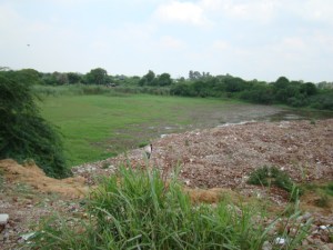 Yamuna River Water Body filled with dumped muck (Photo by Manoj Misra)