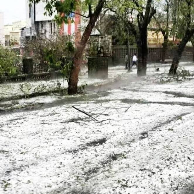 Hail in Nagpur in March 2015 Photo: Nagpur Tips