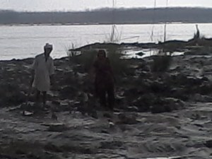 Old poor couple mourning the damaged crop on Yamuna River bed in Yamuna Nagar Dist