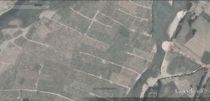 Riverbed Farming Yamuna at Ramra (Google image by Bhim Rawat)