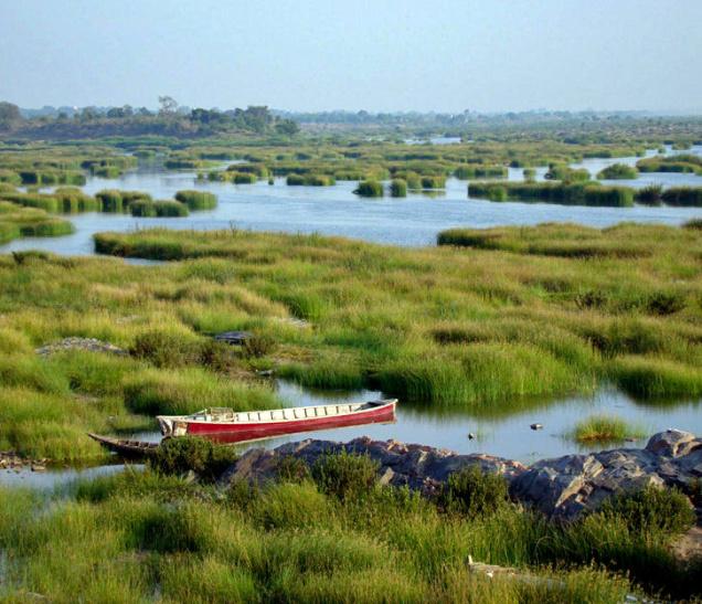 Pranahita River Photo: Harpal Singh, The Hindu