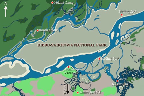 Dibru Saikhowa National Park  Photo: Kolkata Birds