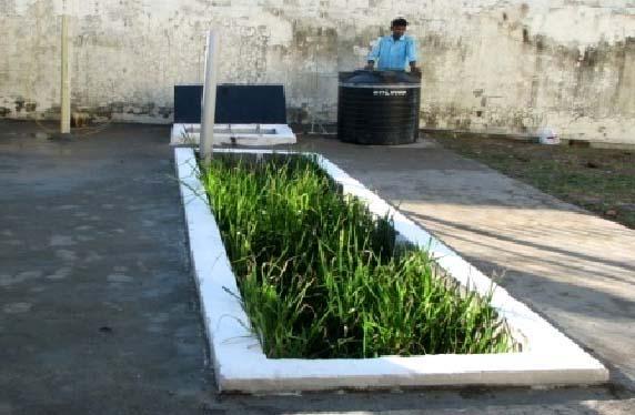 Reed Bed treatment technology in DRDO