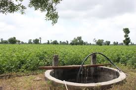 Well in a cotton field, Vidarbha Photo: blog.befundindia.com