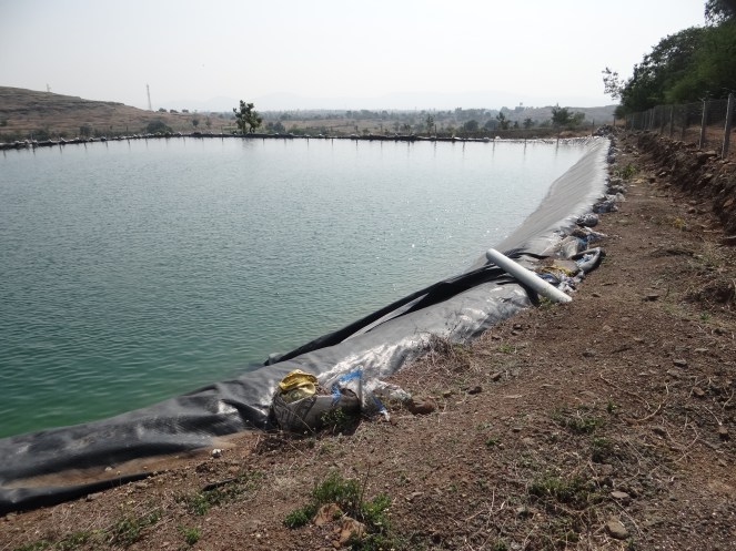 Famr pond in Nagar filled with groundwater from a neighboring field Photo: Author