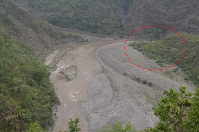 Small forest patch before Nainbagh buried under 10 feet wide silt bed during June 13 flood 